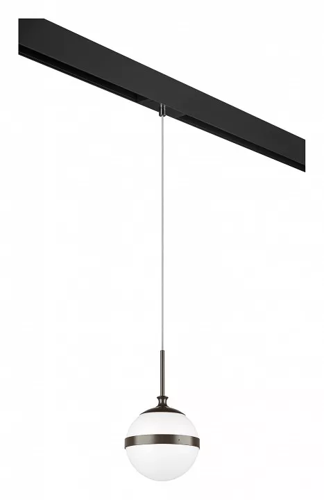 

Подвесной светильник Lightstar Globo PRO813117