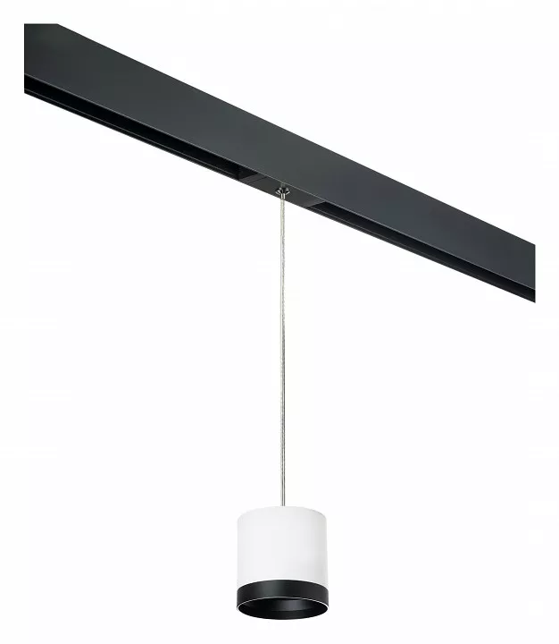 

Подвесной светильник Lightstar Rullo PRORP34863487