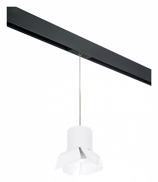 

Подвесной светильник Lightstar Rullo PRORP3486486