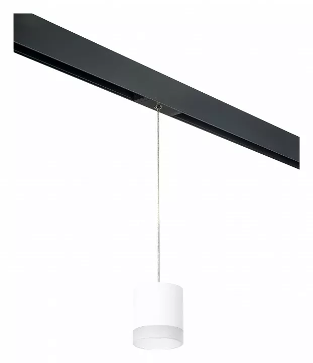 

Подвесной светильник Lightstar Rullo PRORP348680