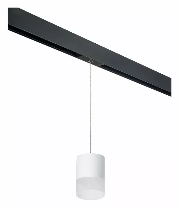 

Подвесной светильник Lightstar Rullo PRORP348681