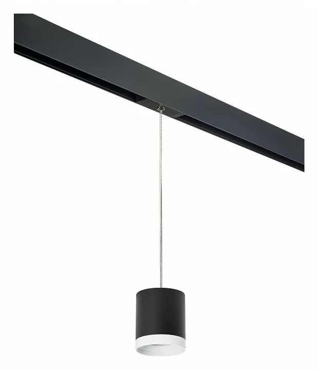 

Подвесной светильник Lightstar Rullo PRORP34873486
