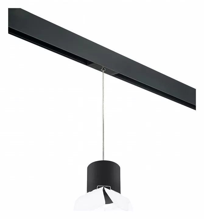 

Подвесной светильник Lightstar Rullo PRORP3487486