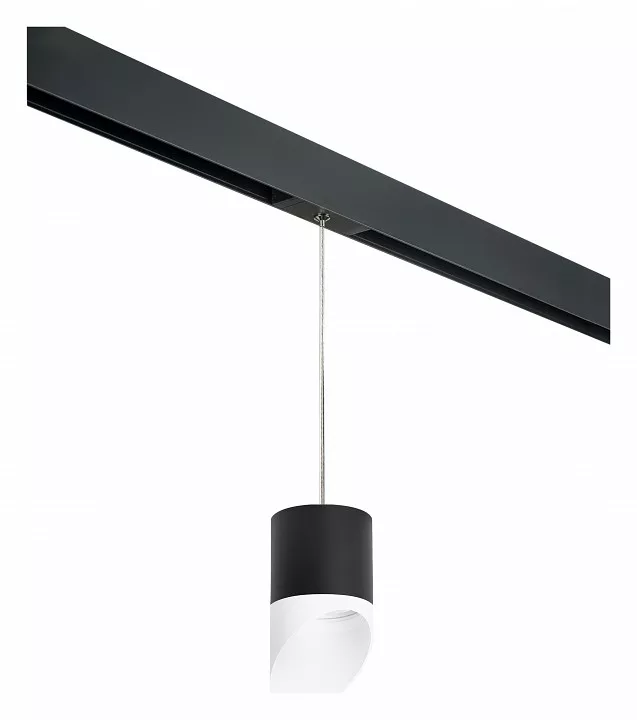 

Подвесной светильник Lightstar Rullo PRORP348786