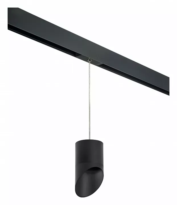 

Подвесной светильник Lightstar Rullo PRORP348787