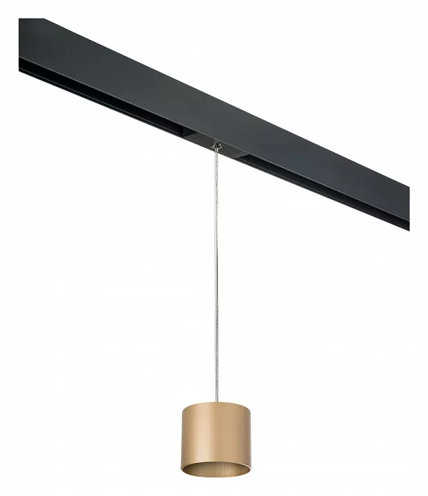 

Подвесной светильник Lightstar Rullo PRORP3490