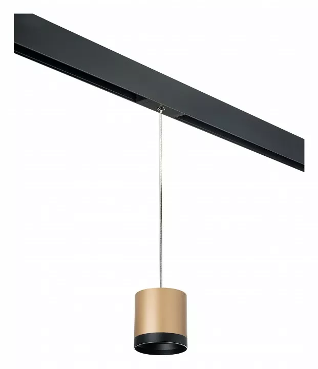 

Подвесной светильник Lightstar Rullo PRORP34903487