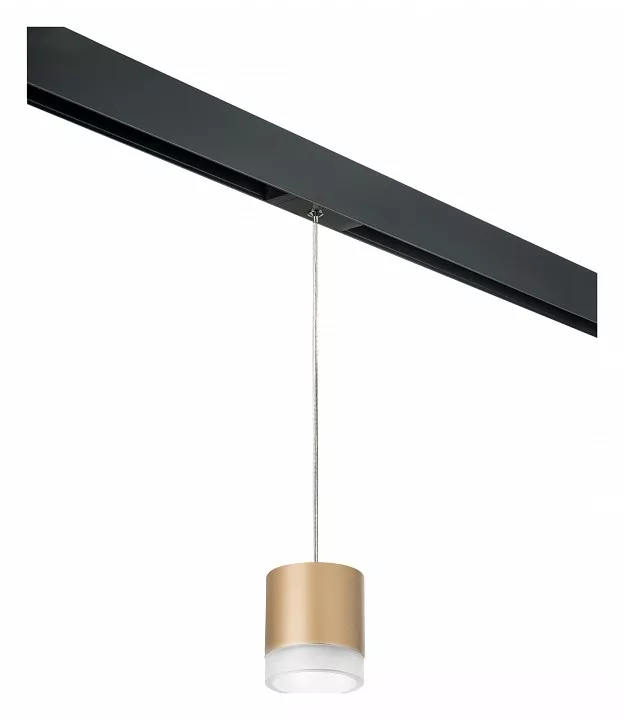 

Подвесной светильник Lightstar Rullo PRORP349080