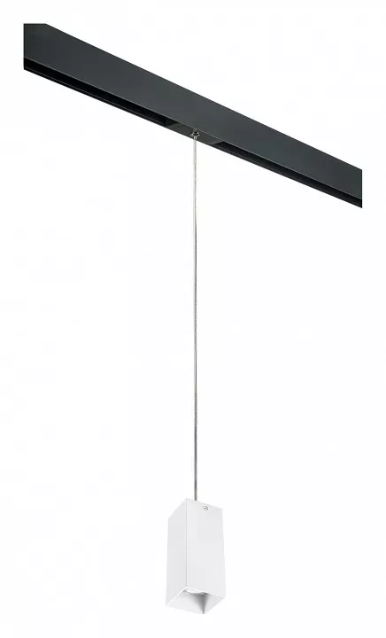 

Подвесной светильник Lightstar Rullo PRORP386