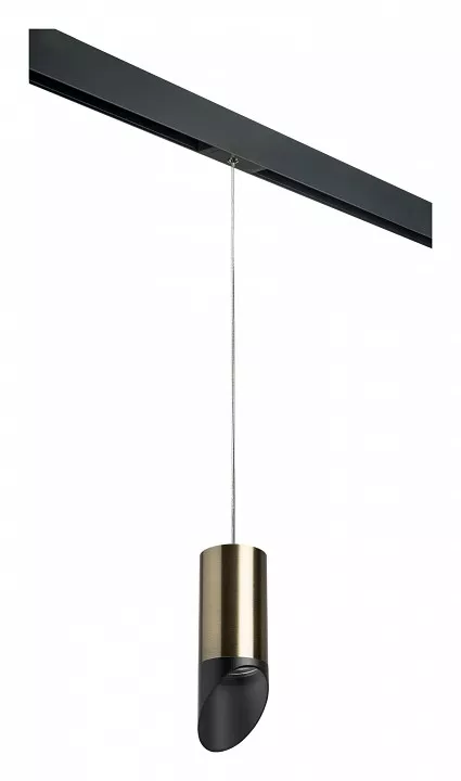 

Подвесной светильник Lightstar Rullo PRORP43137