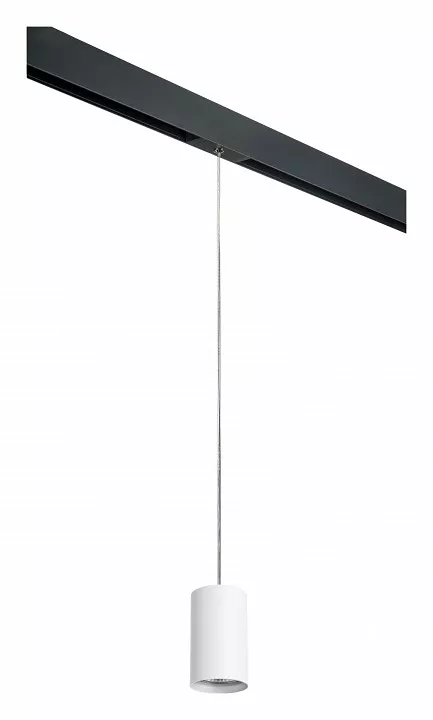 

Подвесной светильник Lightstar Rullo PRORP436