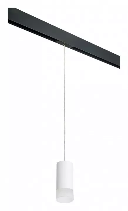 

Подвесной светильник Lightstar Rullo PRORP43631