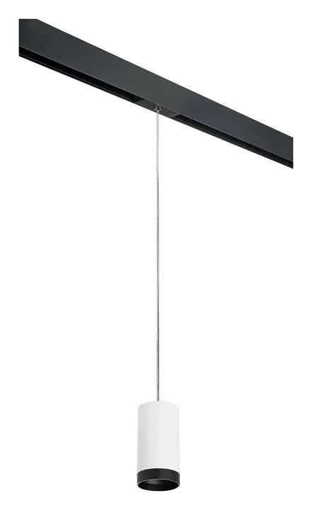 

Подвесной светильник Lightstar Rullo PRORP4363437
