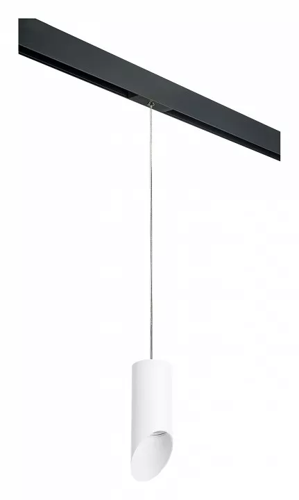 

Подвесной светильник Lightstar Rullo PRORP43636