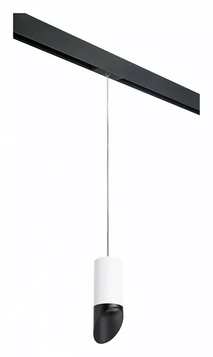 

Подвесной светильник Lightstar Rullo PRORP43637