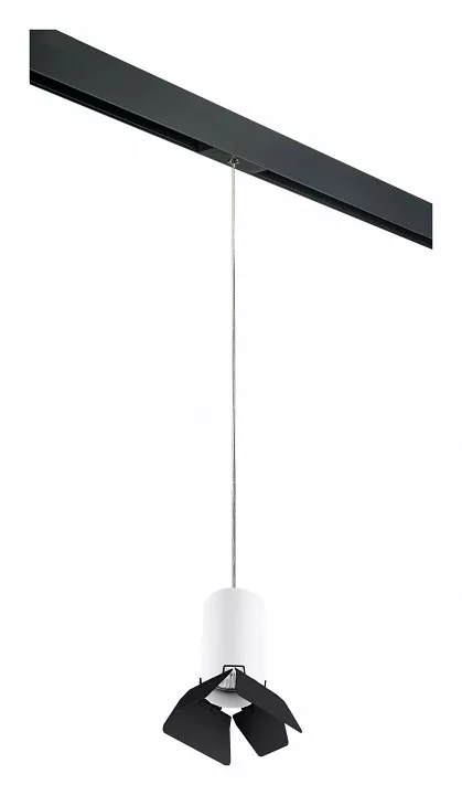 

Подвесной светильник Lightstar Rullo PRORP436437