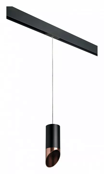 

Подвесной светильник Lightstar Rullo PRORP437130