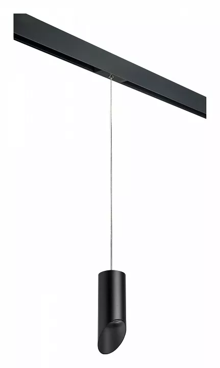 

Подвесной светильник Lightstar Rullo PRORP43737