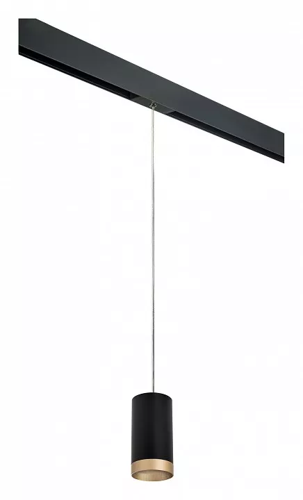 

Подвесной светильник Lightstar Rullo PRORP43740