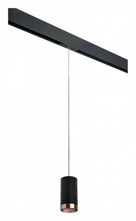 

Подвесной светильник Lightstar Rullo PRORP437430