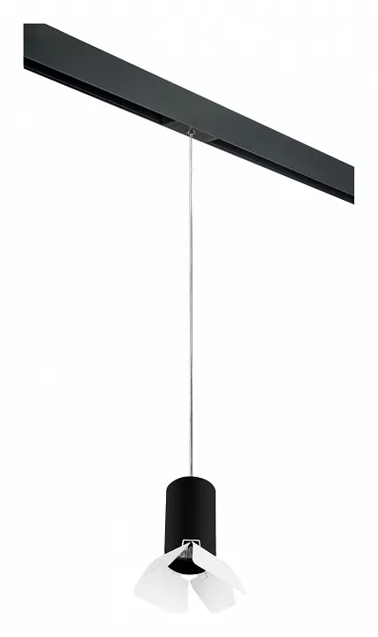 

Подвесной светильник Lightstar Rullo PRORP437436