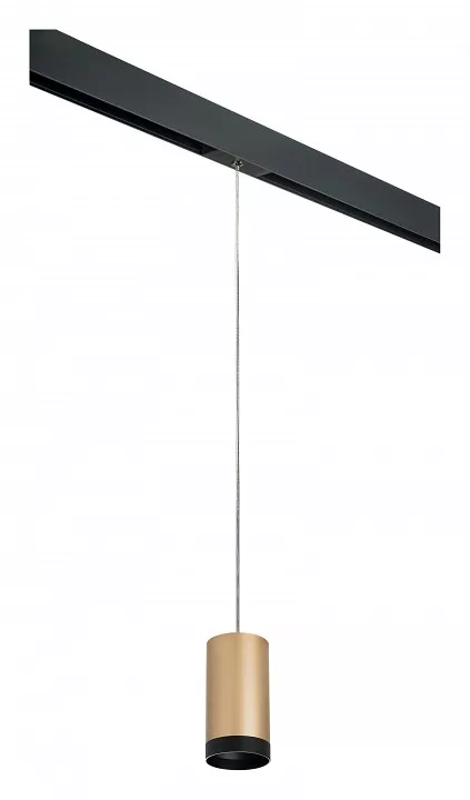 

Подвесной светильник Lightstar Rullo PRORP440437