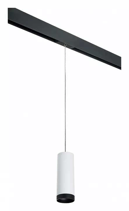 

Подвесной светильник Lightstar Rullo PRORP4863437