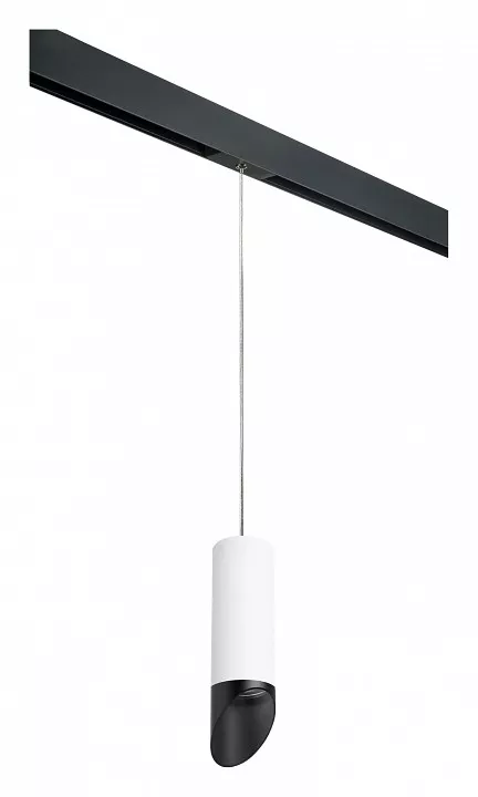 

Подвесной светильник Lightstar Rullo PRORP48637