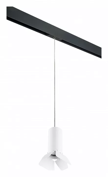 

Подвесной светильник Lightstar Rullo PRORP486436