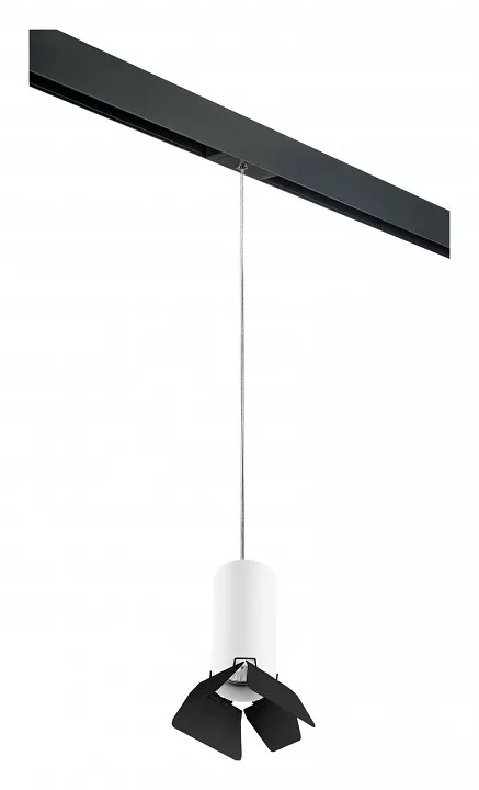 

Подвесной светильник Lightstar Rullo PRORP486437