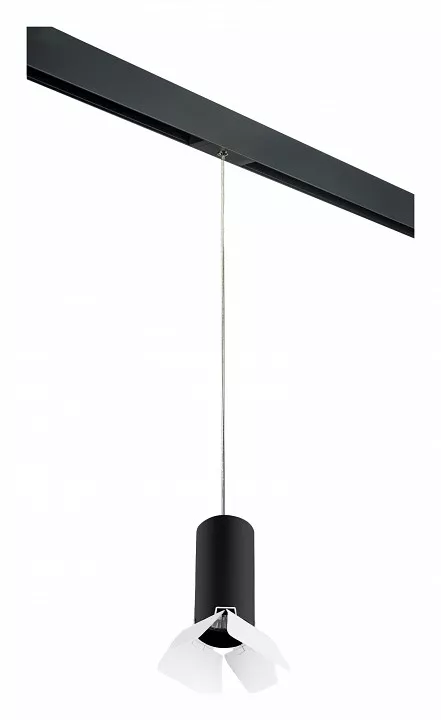 

Подвесной светильник Lightstar Rullo PRORP487436