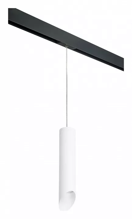 

Подвесной светильник Lightstar Rullo PRORP49636