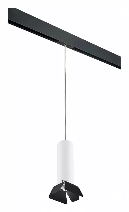 

Подвесной светильник Lightstar Rullo PRORP496437