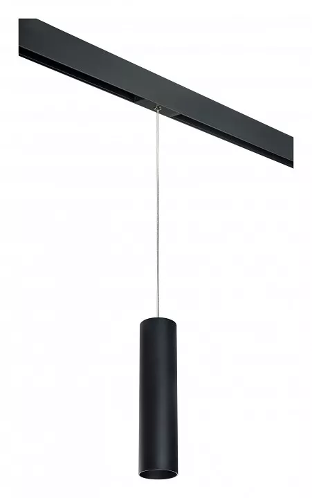

Подвесной светильник Lightstar Rullo PRORP497