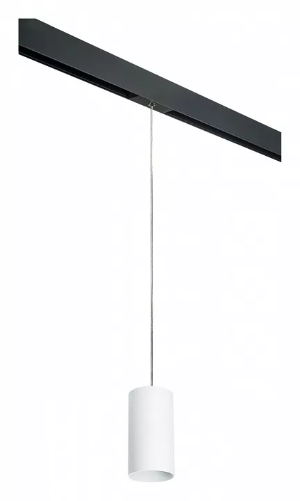 

Подвесной светильник Lightstar Rullo PRORP6486