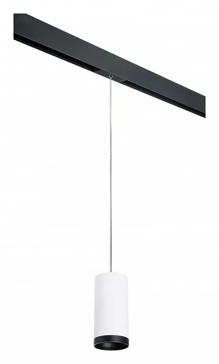 

Подвесной светильник Lightstar Rullo PRORP64863487