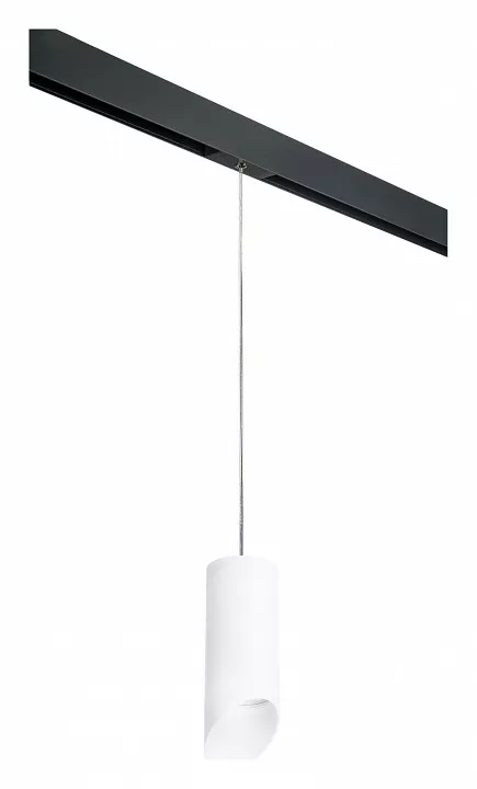 

Подвесной светильник Lightstar Rullo PRORP648686