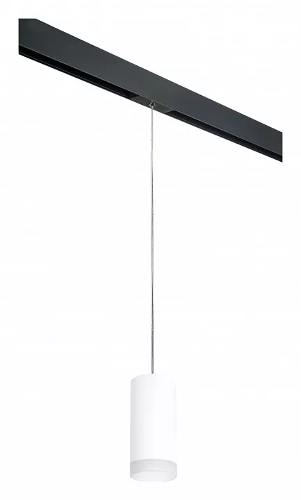 

Подвесной светильник Lightstar Rullo PRORP648780