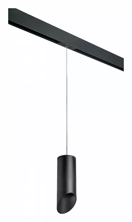 

Подвесной светильник Lightstar Rullo PRORP648787