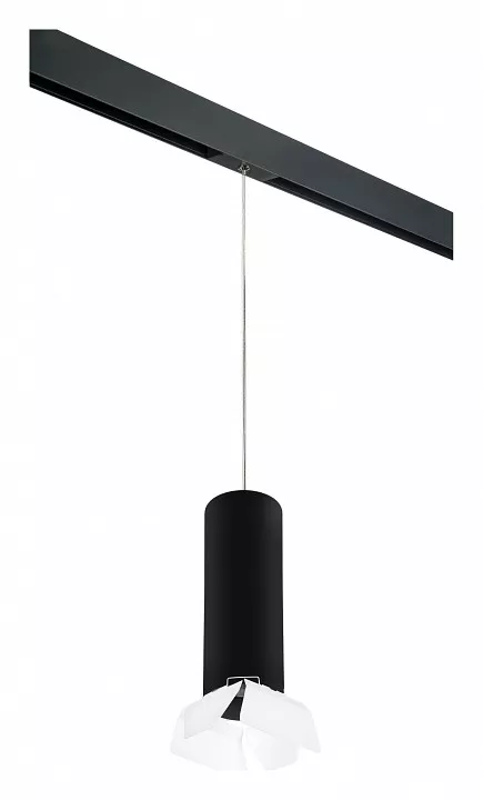 

Подвесной светильник Lightstar Rullo PRORP6497486