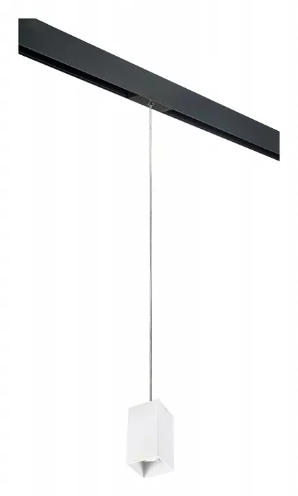 

Подвесной светильник Lightstar Rullo PRORP6586