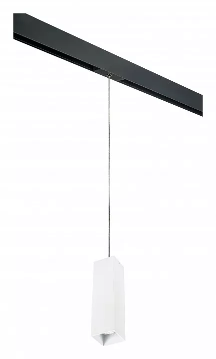 

Подвесной светильник Lightstar Rullo PRORP6596