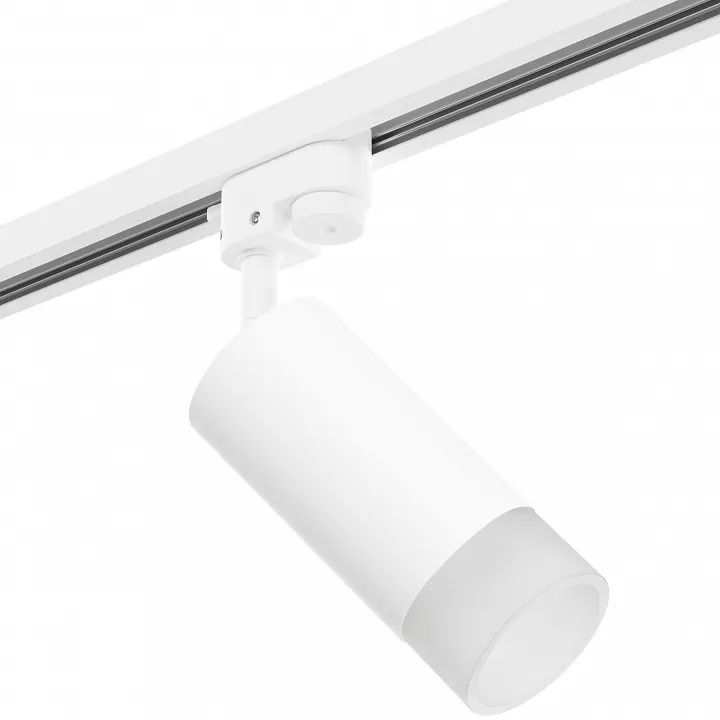 

Светильник на штанге Lightstar Rullo R1T43631