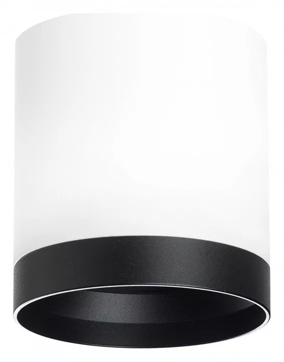 

Накладной светильник Lightstar Rullo R34863487