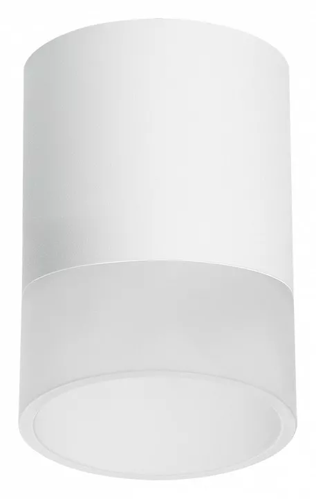 

Накладной светильник Lightstar Rullo R348681