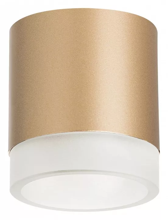 

Накладной светильник Lightstar Rullo R349080