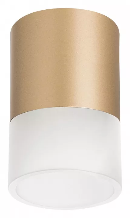 

Накладной светильник Lightstar Rullo R349081