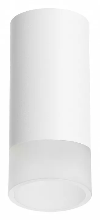 

Накладной светильник Lightstar Rullo R43631