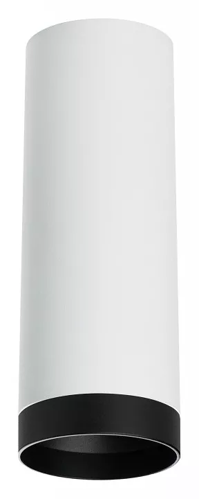

Накладной светильник Lightstar Rullo R4863437