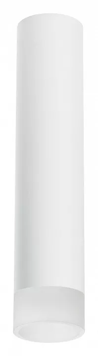 

Накладной светильник Lightstar Rullo R49631